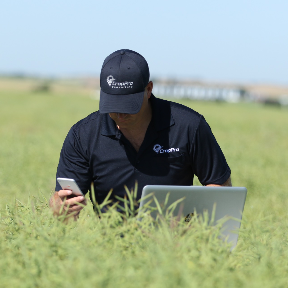 Consulting Software Services