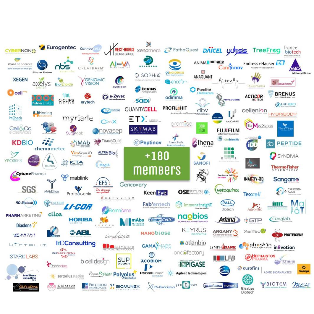 MabDesign Companies Directory