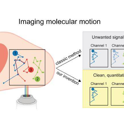 Artifact-free multicolor imaging of molecular motion and interactions
