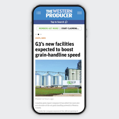 FREE Daily Markets Updates