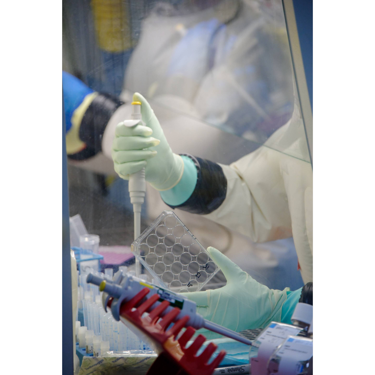 BSL4 in vitro pre-clinical testing facility