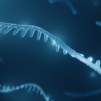 An Integrated Workflow for the Analysis of Oligonucleotides and Their Impurities by Agilent High-Resolution LC/(Q-)Tof Mass Spectrometry