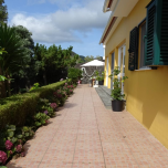 Property with business for sale-Azores
