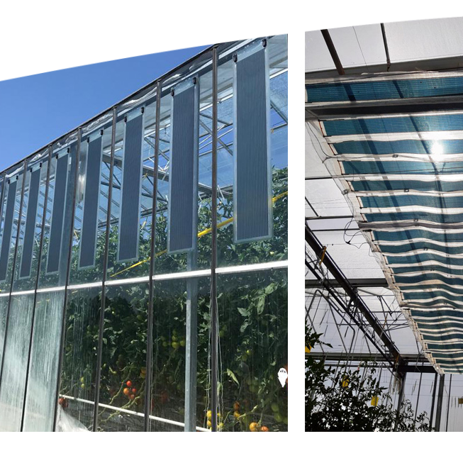 Greenhouses fitted with the ASCA® organic photovoltaic film