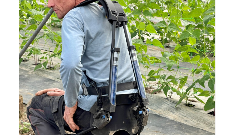 The painful nature of work in market gardening. How can we improve working conditions in market gardening? Robots and cobots, a solution?