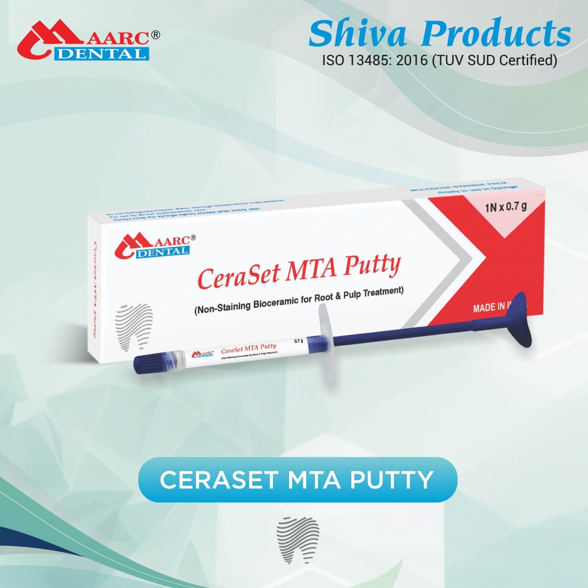 Ceraset MTA Putty