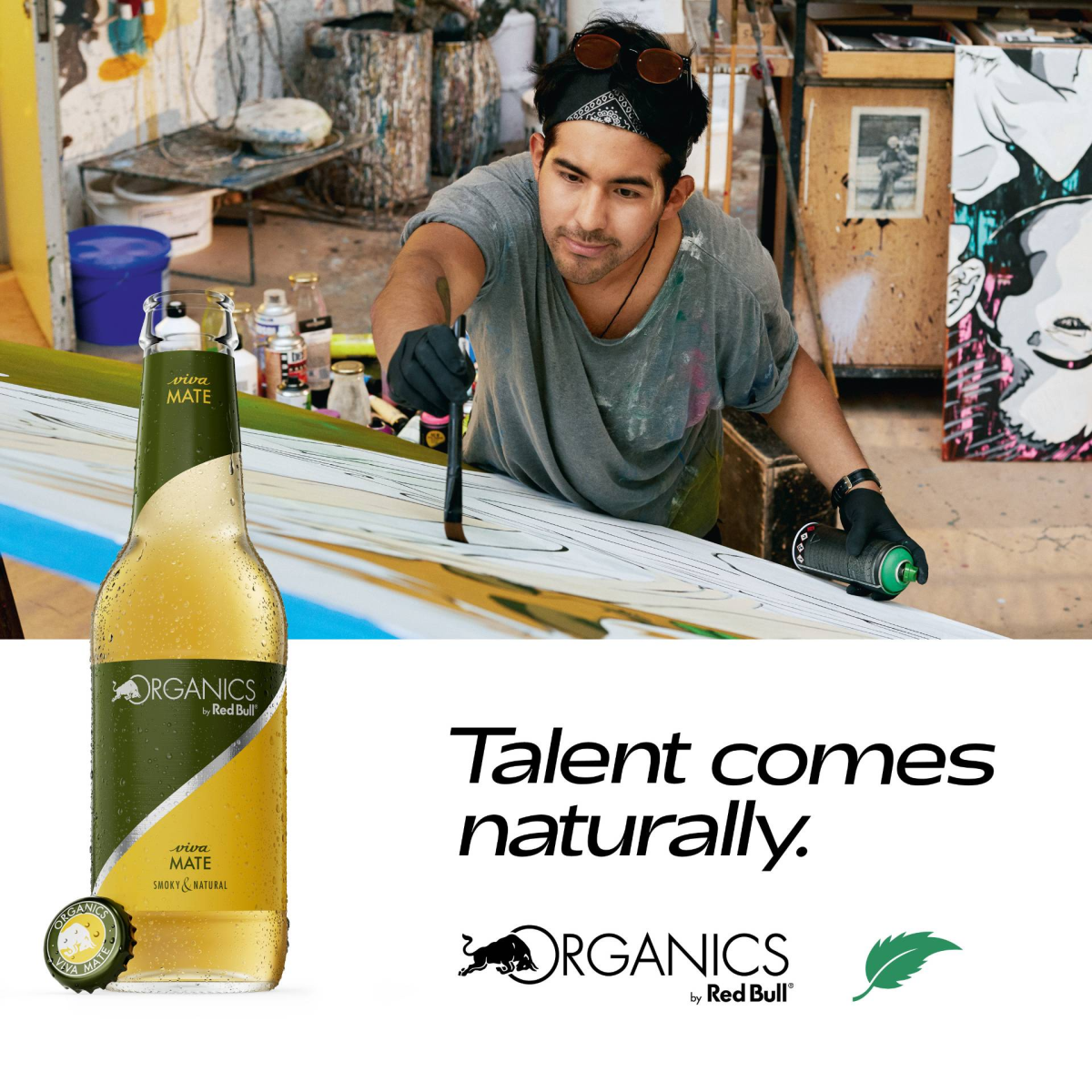 ORGANICS by Red Bull Viva Mate