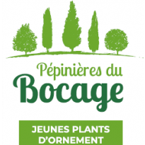 Chef de culture (H/F)