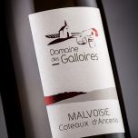 Coteaux d'Ancenis Malvoisie 2024
