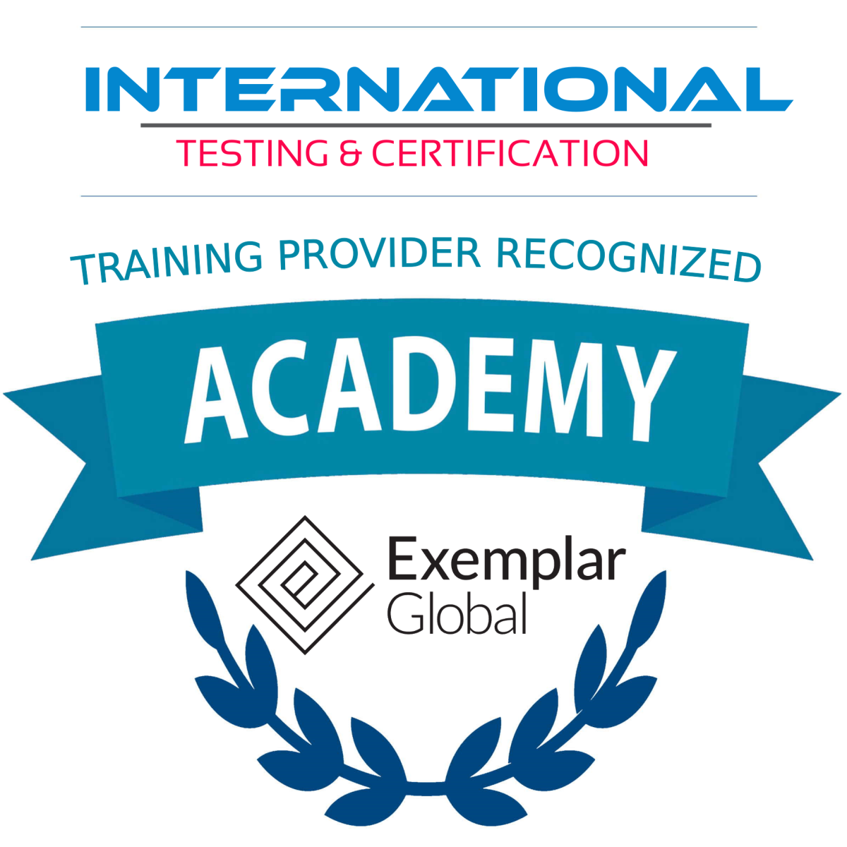 CERTIFICAZIONE DELLE COMPETENZE