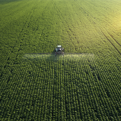 Northern Ireland - Altogether more for Agriculture