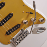 DeLaet Stacy Custom Guitar