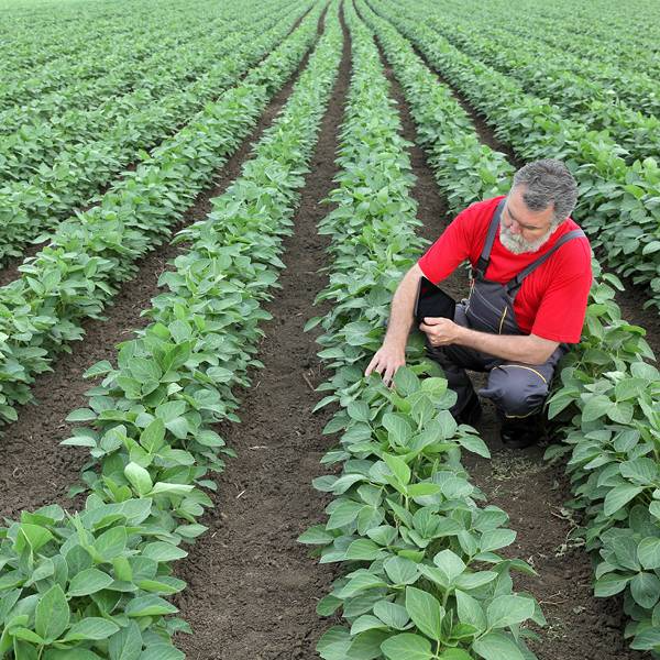 Solutions en assurance spécialisées