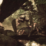 Inside Tumucumaque - a virtual reality installation