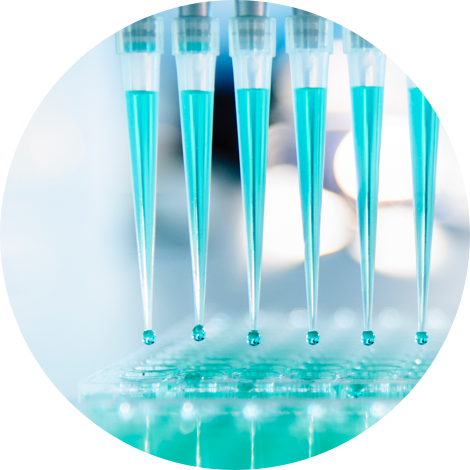 Microbiome Profiling Services