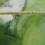 Natural Image (Wealthy ) by Lee,Young soo