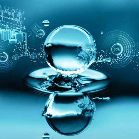 Water Quality Inspector