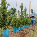 Evaluation de produits, outils et matériels pour les fruits et légumes