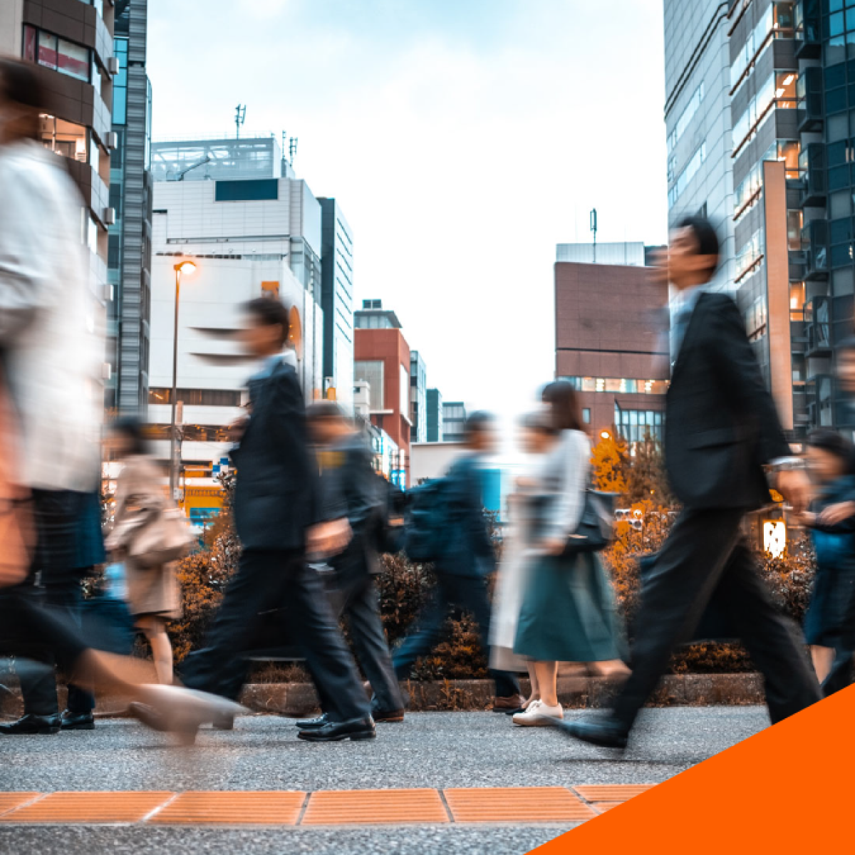 Internal Investigations