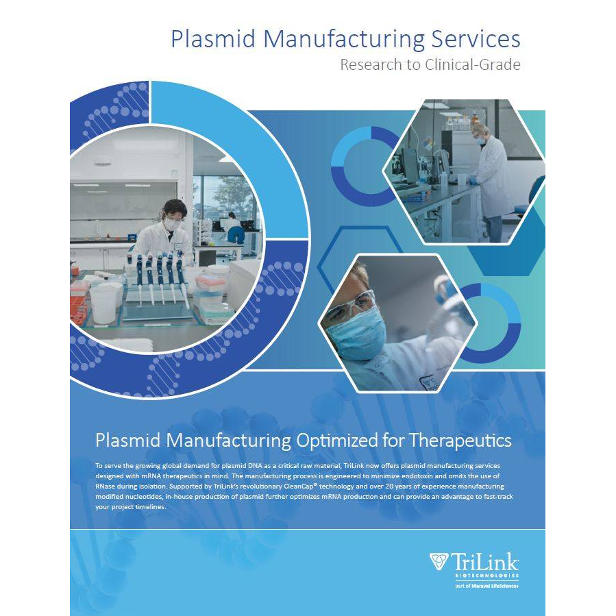 DNA Plasmid Manufacturing