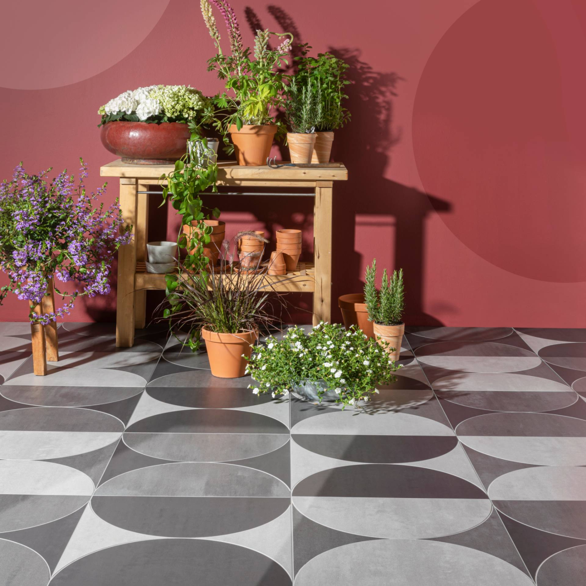 CORE COLLECTION SHAPES