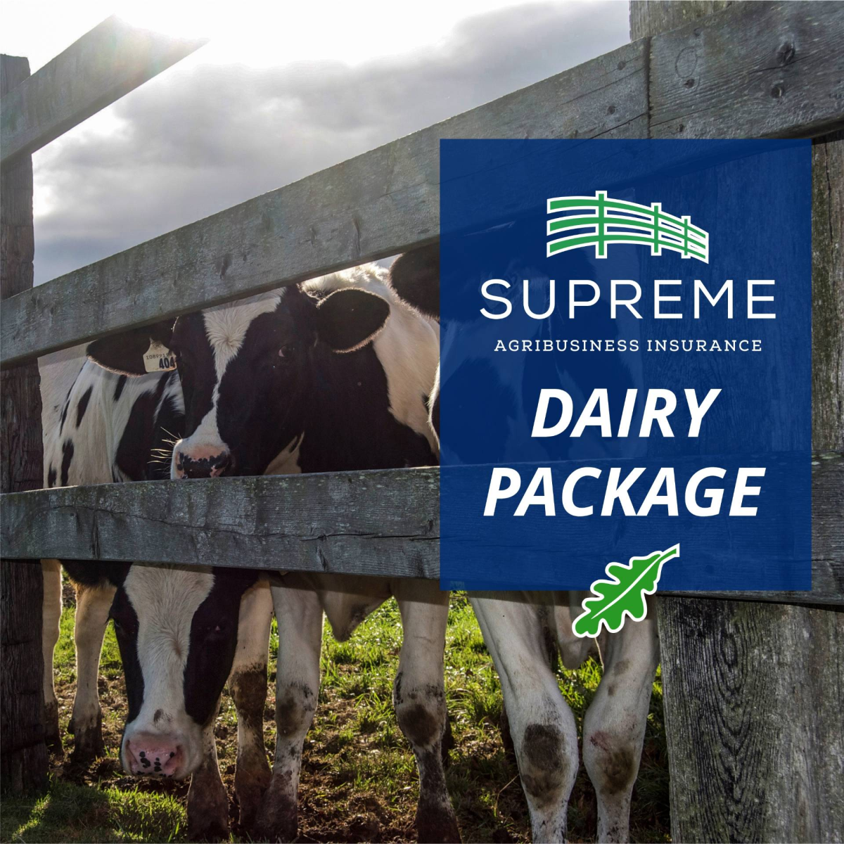 Dairy Farm Insurance Package - Highlights