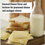 Cheese and Dairy powder