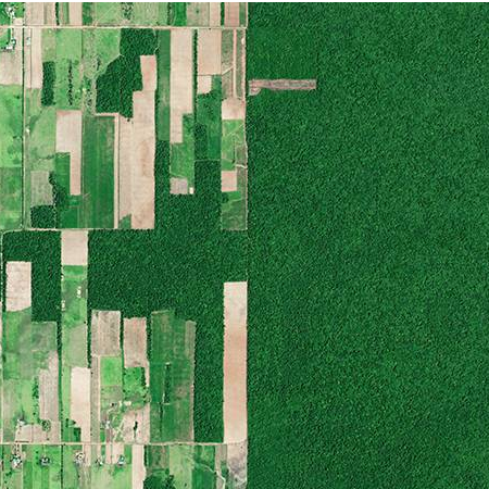 Anthropocene - The Rise of Humans