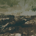 Inside Tumucumaque - a virtual reality installation