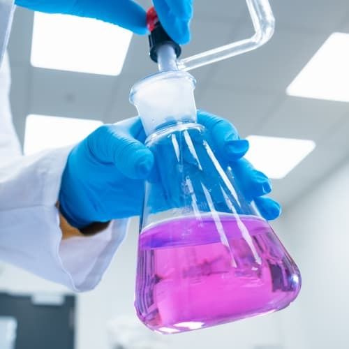 Protein Chemistry Characterization Services