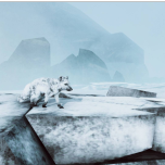 MYRIAD. Where we connect.