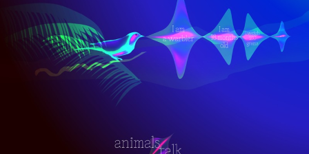 Animals talk