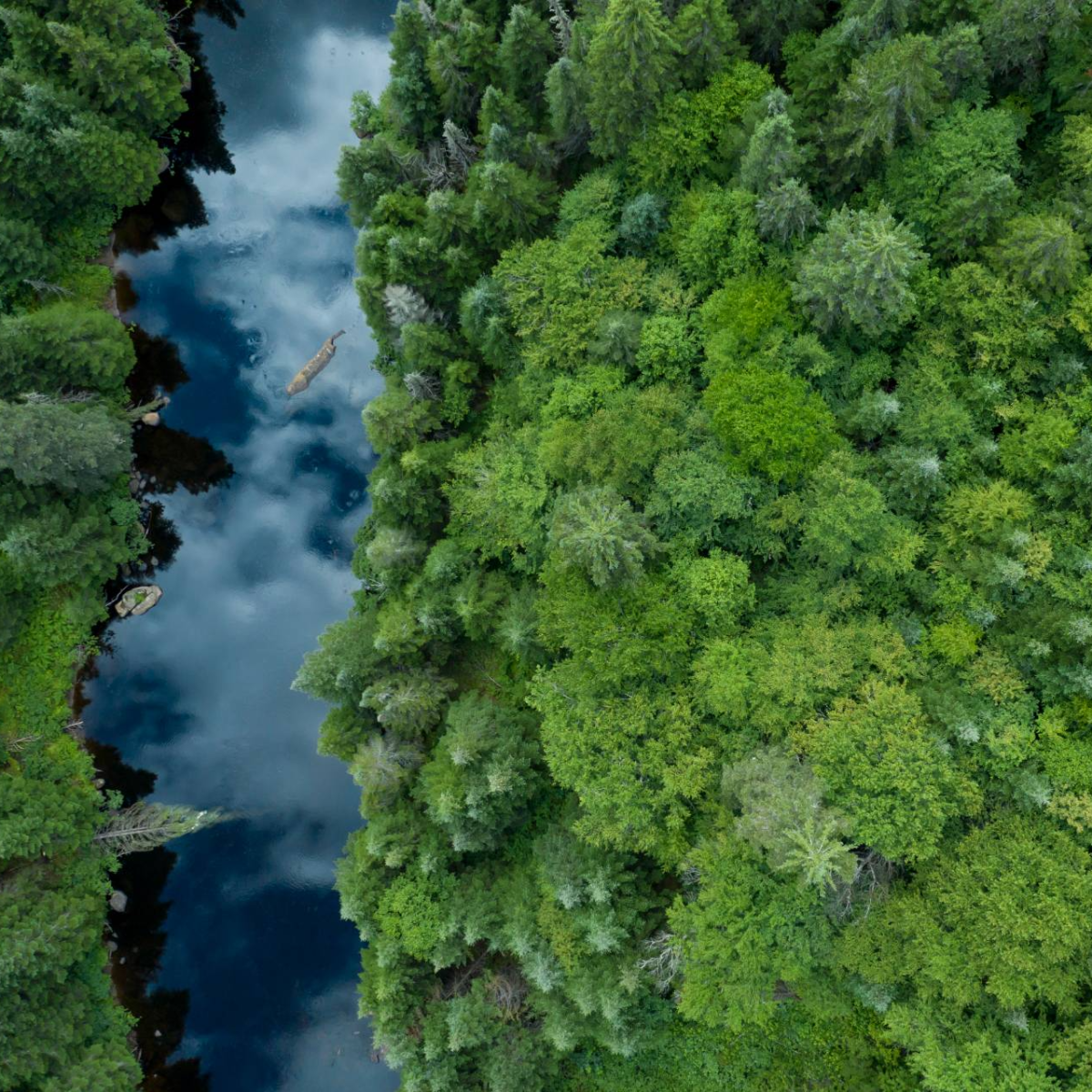 Responsible Investing: BMO Global Asset Management