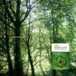 ColorMind, unique yarn design