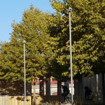 Neues Museum Kolonnadenhof | Berlin