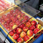 Robotique / Emballage automatique : LINE PACK - FAST PACK