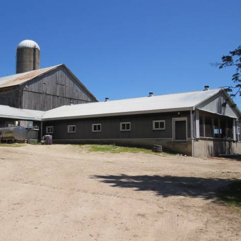 MARKDALE, ON - ONGOING DAIRY FARM