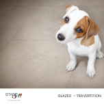 Starstile - Glazed Porcelain Tiles