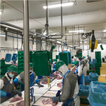 Calypso System cable conveyor