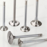Engine Valves