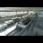 SOLFA SRL Integrated plant for marble slabs restoring and polishing