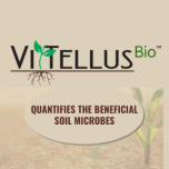 SOIL HEALTH TESTS: VitTellus® Soil Health and the NEW VitTellus Bio℠ test that quantifies beneficial soil microbes