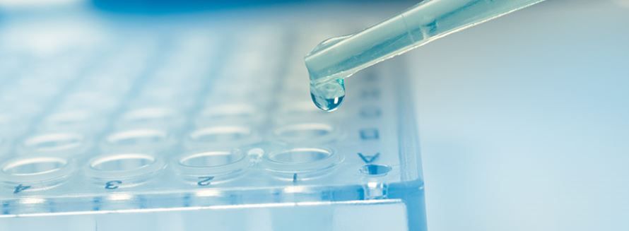 Biocompatibility & Toxicology Testing