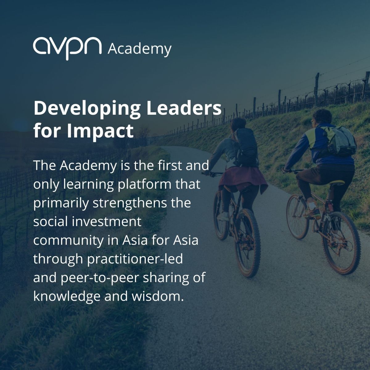 AVPN Academy