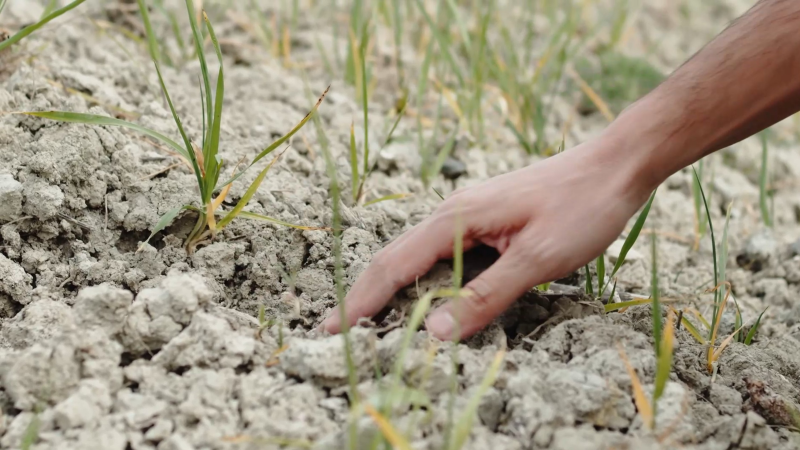 L'Eau au cœur des enjeux agricoles : quelles innovations pour optimiser la gestion de cette ressource ?