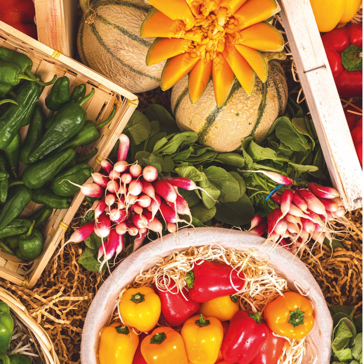 La gamme VOLTZ Maraîchage