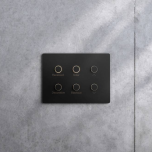 Alisse wall controls