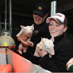 Associate Diploma Programs