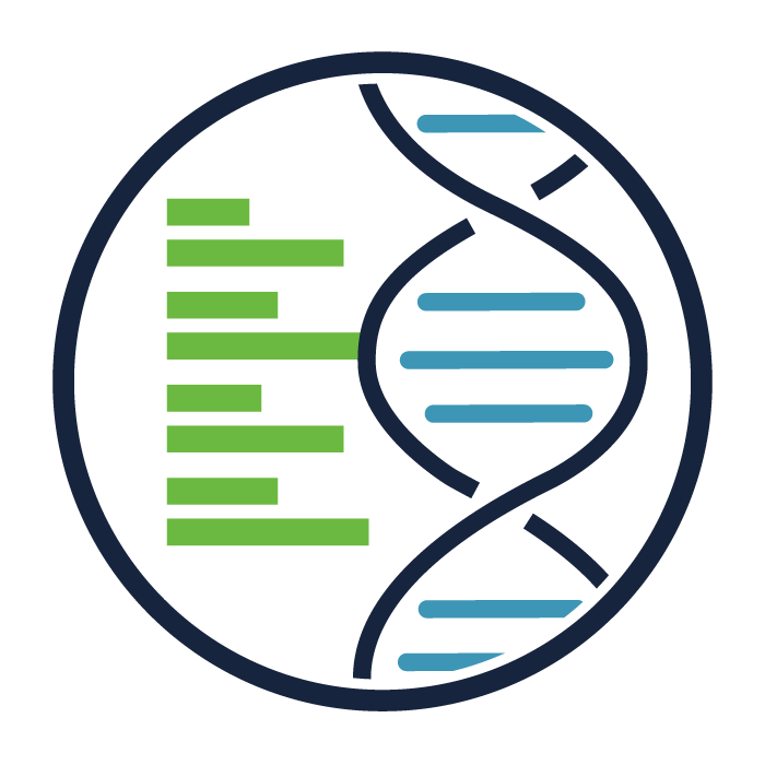 Characterization and Optimization