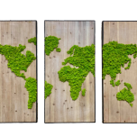 Tableau végétal stabilisé